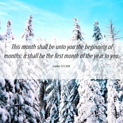 Picture 06 - Exodus 12:2 ASV - This month shall be unto you the beginning of - Bible Verse Picture