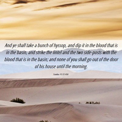 Picture 06 - Exodus 12:22 ASV - And ye shall take a bunch of hyssop, and dip it - Bible Verse Picture