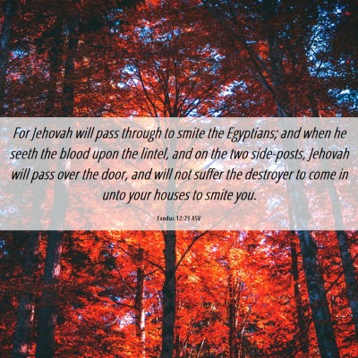 Picture 06 - Exodus 12:23 ASV - For Jehovah will pass through to smite the - Bible Verse Picture