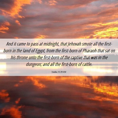 Picture 06 - Exodus 12:29 ASV - And it came to pass at midnight, that Jehovah - Bible Verse Picture