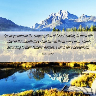 Picture 06 - Exodus 12:3 ASV - Speak ye unto all the congregation of Israel, - Bible Verse Picture