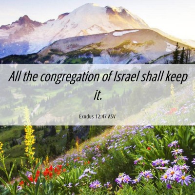 Picture 06 - Exodus 12:47 ASV - All the congregation of Israel shall keep - Bible Verse Picture