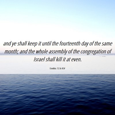 Picture 06 - Exodus 12:6 ASV - and ye shall keep it until the fourteenth day of - Bible Verse Picture