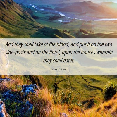 Picture 06 - Exodus 12:7 ASV - And they shall take of the blood, and put it on - Bible Verse Picture