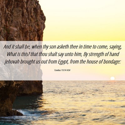 Picture 06 - Exodus 13:14 ASV - And it shall be, when thy son asketh thee in time - Bible Verse Picture