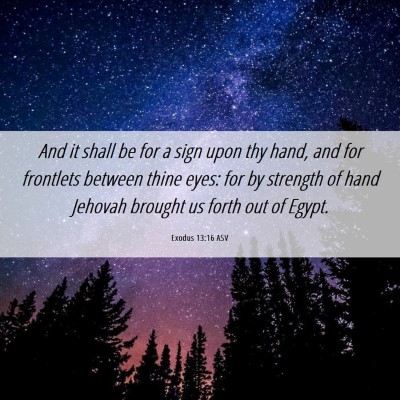 Picture 06 - Exodus 13:16 ASV - And it shall be for a sign upon thy hand, and for - Bible Verse Picture