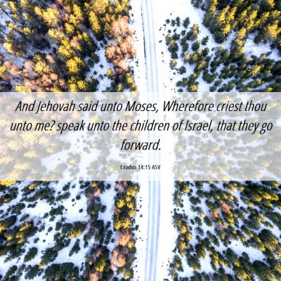 Picture 06 - Exodus 14:15 ASV - And Jehovah said unto Moses, Wherefore criest - Bible Verse Picture
