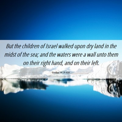 Picture 06 - Exodus 14:29 ASV - But the children of Israel walked upon dry land - Bible Verse Picture