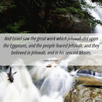 Picture 06 - Exodus 14:31 ASV - And Israel saw the great work which Jehovah did - Bible Verse Picture