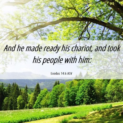 Picture 06 - Exodus 14:6 ASV - And he made ready his chariot, and took his - Bible Verse Picture
