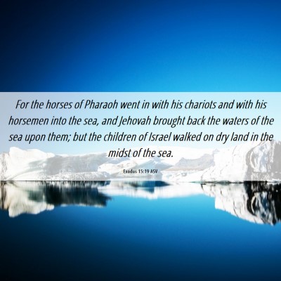 Picture 06 - Exodus 15:19 ASV - For the horses of Pharaoh went in with his - Bible Verse Picture