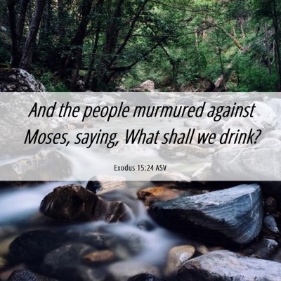Picture 06 - Exodus 15:24 ASV - And the people murmured against Moses, saying, - Bible Verse Picture