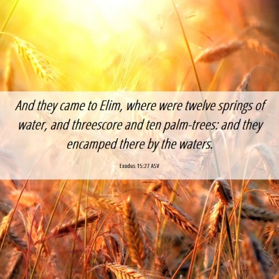 Picture 06 - Exodus 15:27 ASV - And they came to Elim, where were twelve springs - Bible Verse Picture