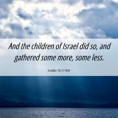 Picture 06 - Exodus 16:17 ASV - And the children of Israel did so, and gathered - Bible Verse Picture
