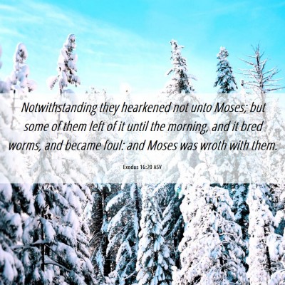 Picture 06 - Exodus 16:20 ASV - Notwithstanding they hearkened not unto Moses; - Bible Verse Picture