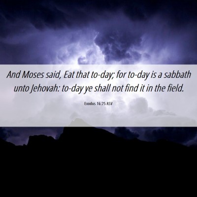 Picture 06 - Exodus 16:25 ASV - And Moses said, Eat that to-day; for to-day is a - Bible Verse Picture