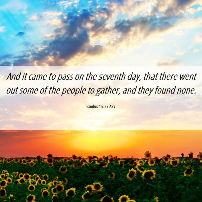 Picture 06 - Exodus 16:27 ASV - And it came to pass on the seventh day, that - Bible Verse Picture