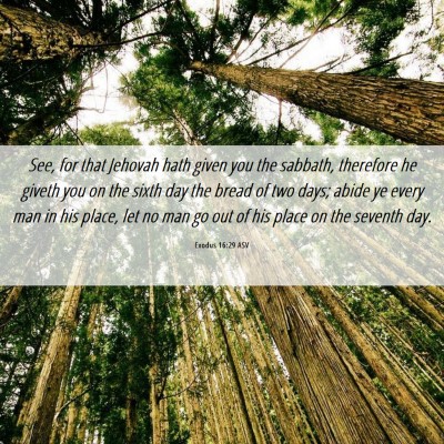Picture 06 - Exodus 16:29 ASV - See, for that Jehovah hath given you the sabbath, - Bible Verse Picture