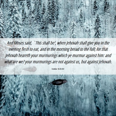 Picture 06 - Exodus 16:8 ASV - And Moses said, `This shall be', when Jehovah - Bible Verse Picture