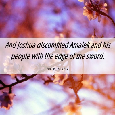 Picture 06 - Exodus 17:13 ASV - And Joshua discomfited Amalek and his people with - Bible Verse Picture