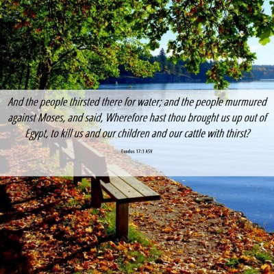 Picture 06 - Exodus 17:3 ASV - And the people thirsted there for water; and the - Bible Verse Picture