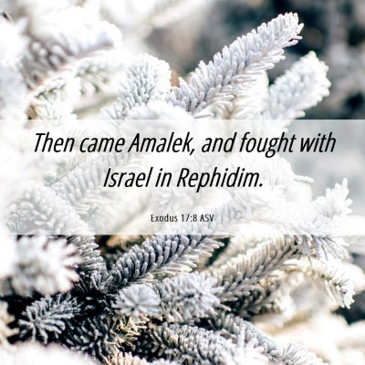 Picture 06 - Exodus 17:8 ASV - Then came Amalek, and fought with Israel in - Bible Verse Picture