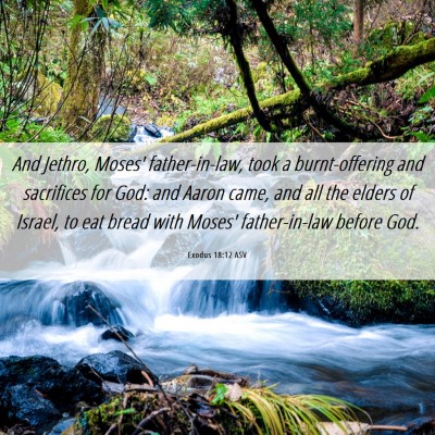 Picture 06 - Exodus 18:12 ASV - And Jethro, Moses' father-in-law, took a - Bible Verse Picture