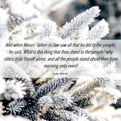 Picture 06 - Exodus 18:14 ASV - And when Moses' father-in-law saw all that he did - Bible Verse Picture