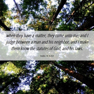 Picture 06 - Exodus 18:16 ASV - when they have a matter, they come unto me; and I - Bible Verse Picture