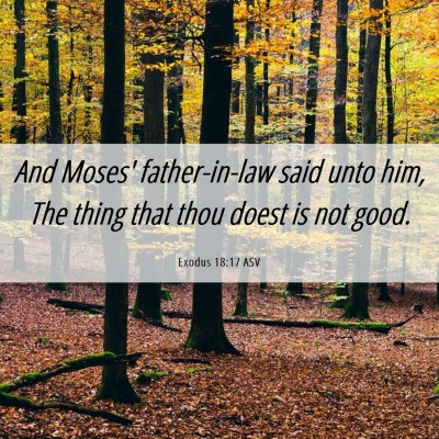 Picture 06 - Exodus 18:17 ASV - And Moses' father-in-law said unto him, The thing - Bible Verse Picture