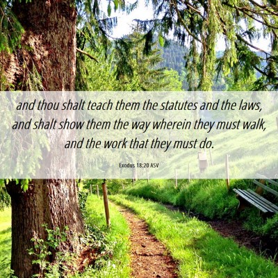 Picture 06 - Exodus 18:20 ASV - and thou shalt teach them the statutes and the - Bible Verse Picture