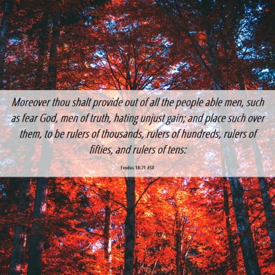 Picture 06 - Exodus 18:21 ASV - Moreover thou shalt provide out of all the people - Bible Verse Picture