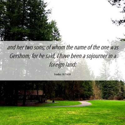 Picture 06 - Exodus 18:3 ASV - and her two sons; of whom the name of the one was - Bible Verse Picture