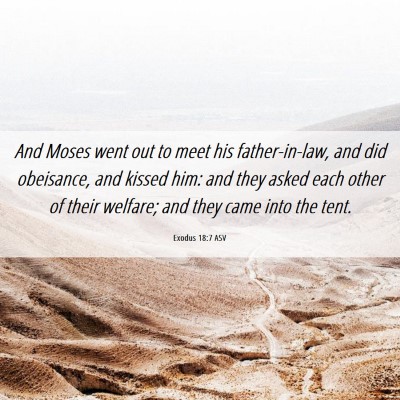 Picture 06 - Exodus 18:7 ASV - And Moses went out to meet his father-in-law, and - Bible Verse Picture