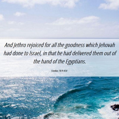 Picture 06 - Exodus 18:9 ASV - And Jethro rejoiced for all the goodness which - Bible Verse Picture