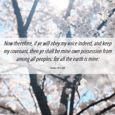Picture 06 - Exodus 19:5 ASV - Now therefore, if ye will obey my voice indeed, - Bible Verse Picture