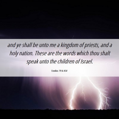 Picture 06 - Exodus 19:6 ASV - and ye shall be unto me a kingdom of priests, and - Bible Verse Picture