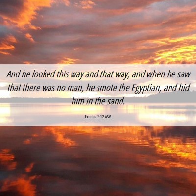 Picture 06 - Exodus 2:12 ASV - And he looked this way and that way, and when he - Bible Verse Picture