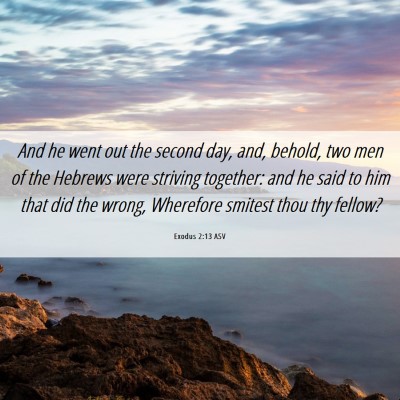 Picture 06 - Exodus 2:13 ASV - And he went out the second day, and, behold, two - Bible Verse Picture