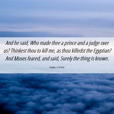 Picture 06 - Exodus 2:14 ASV - And he said, Who made thee a prince and a judge - Bible Verse Picture