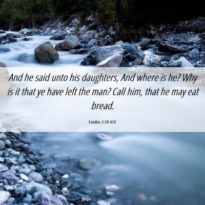 Picture 06 - Exodus 2:20 ASV - And he said unto his daughters, And where is he? - Bible Verse Picture