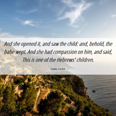 Picture 06 - Exodus 2:6 ASV - And she opened it, and saw the child: and, - Bible Verse Picture