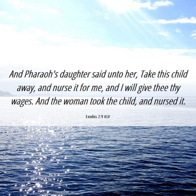 Picture 06 - Exodus 2:9 ASV - And Pharaoh's daughter said unto her, Take this - Bible Verse Picture