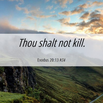 Picture 06 - Exodus 20:13 ASV - Thou shalt not - Bible Verse Picture