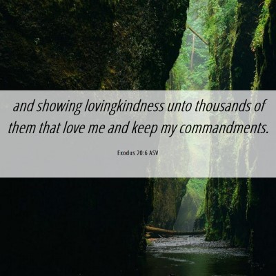 Picture 06 - Exodus 20:6 ASV - and showing lovingkindness unto thousands of them - Bible Verse Picture