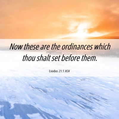 Picture 06 - Exodus 21:1 ASV - Now these are the ordinances which thou shalt set - Bible Verse Picture