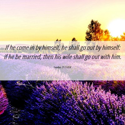 Picture 06 - Exodus 21:3 ASV - If he come in by himself, he shall go out by - Bible Verse Picture