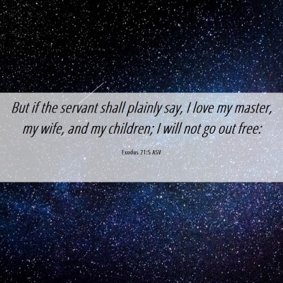 Picture 06 - Exodus 21:5 ASV - But if the servant shall plainly say, I love my - Bible Verse Picture