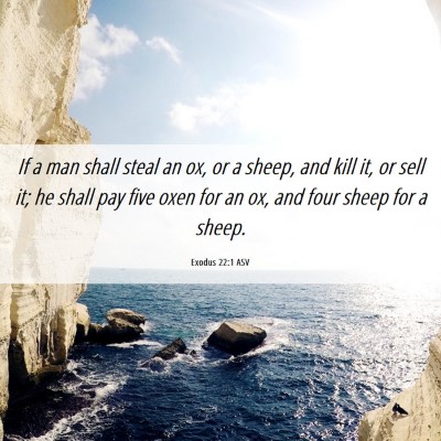 Picture 06 - Exodus 22:1 ASV - If a man shall steal an ox, or a sheep, and kill - Bible Verse Picture