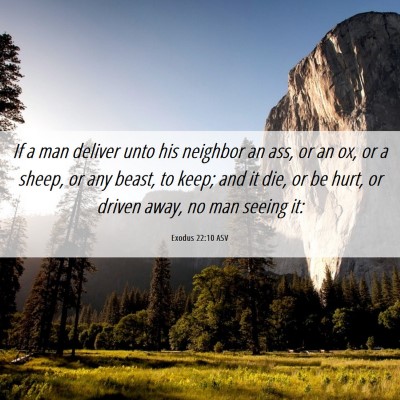 Picture 06 - Exodus 22:10 ASV - If a man deliver unto his neighbor an ass, or an - Bible Verse Picture
